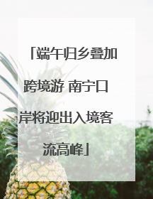 端午归乡叠加跨境游 南宁口岸将迎出入境客流高峰