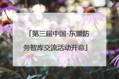 第三届中国-东盟防务智库交流活动开幕