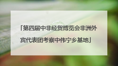 第四届中非经贸博览会非洲外宾代表团考察中伟宁乡基地