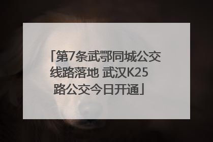 第7条武鄂同城公交线路落地 武汉K25路公交今日开通