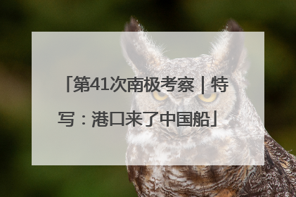 第41次南极考察｜特写：港口来了中国船