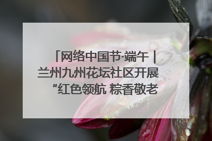 网络中国节·端午｜兰州九州花坛社区开展“红色领航 粽香敬老”端午主题活动