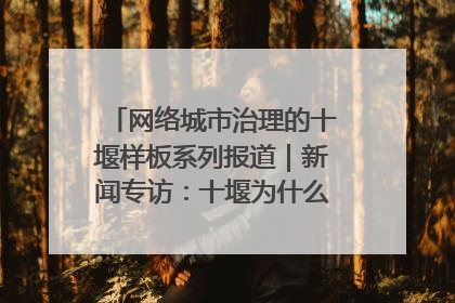 网络城市治理的十堰样板系列报道｜新闻专访：十堰为什么成为“黑马型”城市治理网络维度典型