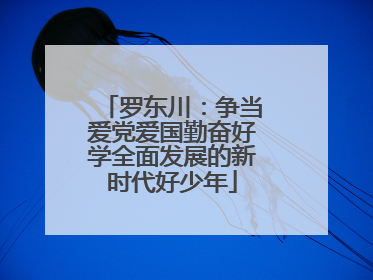 罗东川：争当爱党爱国勤奋好学全面发展的新时代好少年