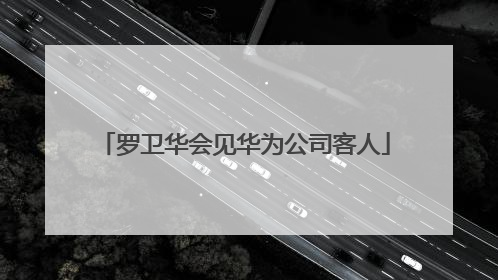 罗卫华会见华为公司客人