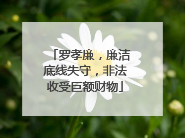 罗孝廉，廉洁底线失守，非法收受巨额财物