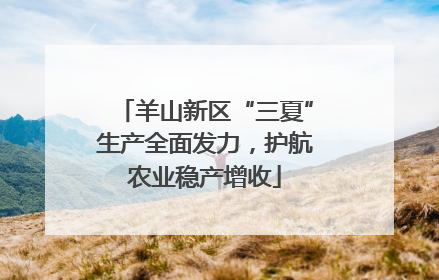 羊山新区“三夏”生产全面发力，护航农业稳产增收