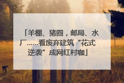 羊棚、猪圈，邮局、水厂……看废弃建筑“花式逆袭”成网红村咖