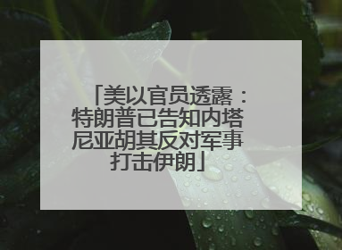 美以官员透露：特朗普已告知内塔尼亚胡其反对军事打击伊朗