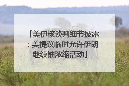 美伊核谈判细节披露：美提议临时允许伊朗继续铀浓缩活动