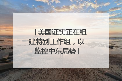 美国证实正在组建特别工作组，以监控中东局势