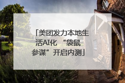 美团发力本地生活AI化 “袋鼠参谋”开启内测
