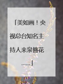 美如画！央视总台知名主持人来泉簪花……
