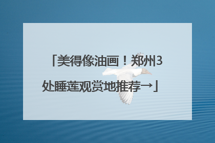 美得像油画！郑州3处睡莲观赏地推荐→