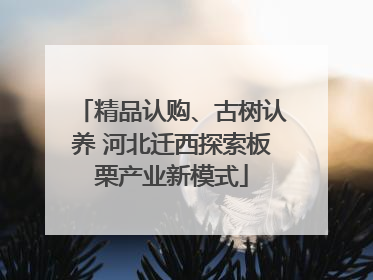 精品认购、古树认养 河北迁西探索板栗产业新模式