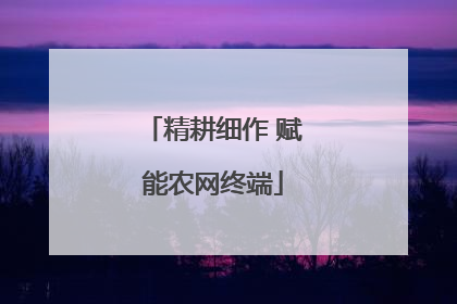 精耕细作 赋能农网终端