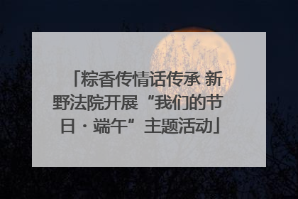粽香传情话传承 新野法院开展“我们的节日・端午”主题活动