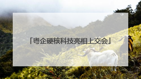 粤企硬核科技亮相上交会