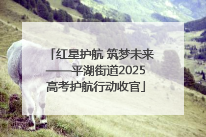 红星护航 筑梦未来——平湖街道2025高考护航行动收官