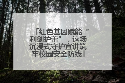 红色基因赋能“利剑护蕾”，这场沉浸式守护宣讲筑牢校园安全防线