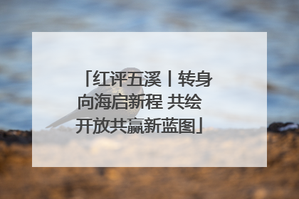 红评五溪丨转身向海启新程 共绘开放共赢新蓝图