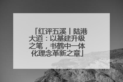 红评五溪丨陆港大道：以基建升级之笔，书鹤中一体化理念革新之章