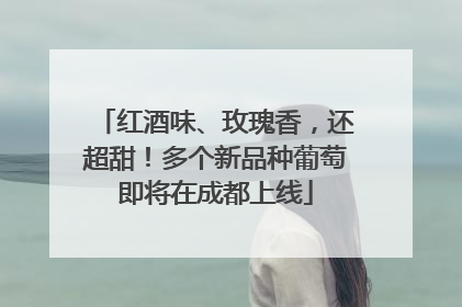 红酒味、玫瑰香，还超甜！多个新品种葡萄即将在成都上线