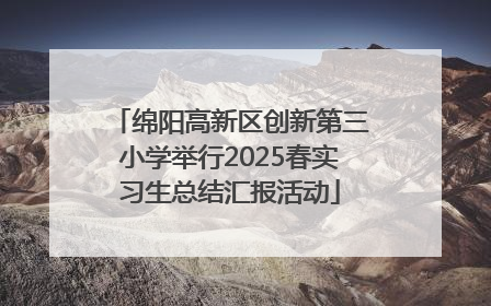 绵阳高新区创新第三小学举行2025春实习生总结汇报活动