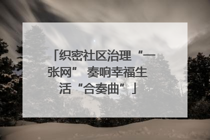 织密社区治理“一张网” 奏响幸福生活“合奏曲”