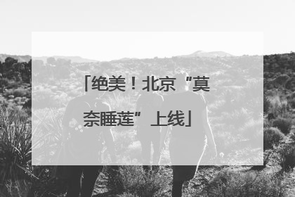 绝美！北京“莫奈睡莲”上线