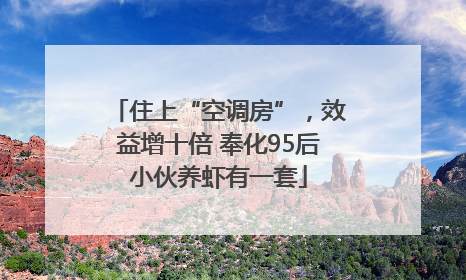住上“空调房”，效益增十倍 奉化95后小伙养虾有一套