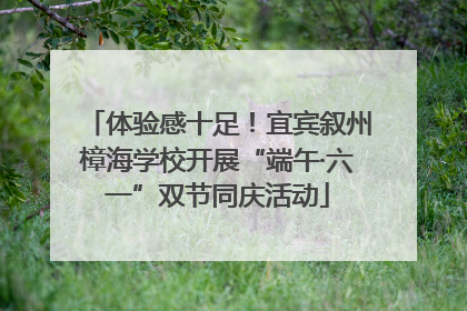 体验感十足！宜宾叙州樟海学校开展“端午·六一”双节同庆活动
