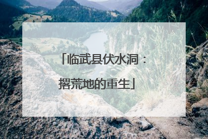 临武县伏水洞：撂荒地的重生