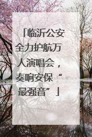 临沂公安全力护航万人演唱会，奏响安保“最强音”