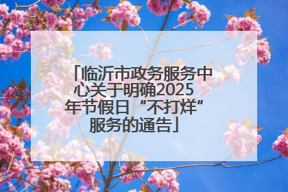临沂市政务服务中心关于明确2025年节假日“不打烊”服务的通告
