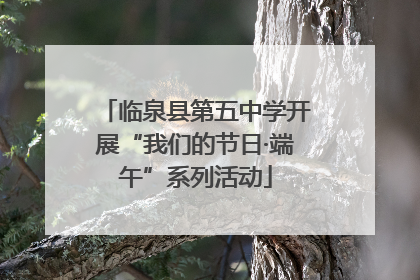 临泉县第五中学开展“我们的节日·端午”系列活动