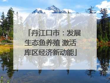 丹江口市：发展生态鱼养殖 激活库区经济新动能