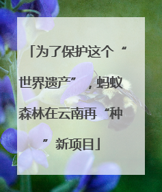 为了保护这个“世界遗产”，蚂蚁森林在云南再“种”新项目