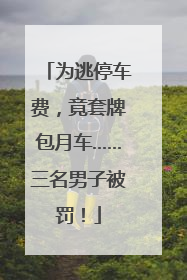 为逃停车费，竟套牌包月车……三名男子被罚！