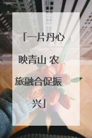 一片丹心映青山 农旅融合促振兴