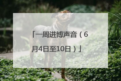 一周进博声音（6月4日至10日）