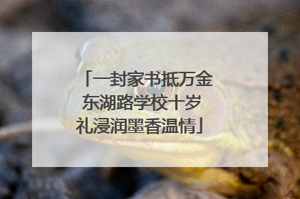 一封家书抵万金 东湖路学校十岁礼浸润墨香温情
