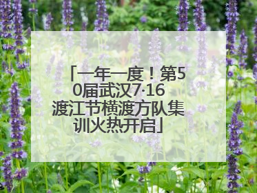 一年一度！第50届武汉7·16渡江节横渡方队集训火热开启