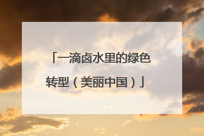 一滴卤水里的绿色转型（美丽中国）