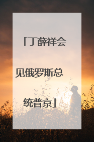 丁薛祥会见俄罗斯总统普京