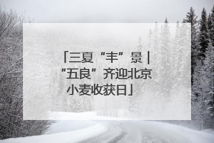 三夏“丰”景|“五良”齐迎北京小麦收获日
