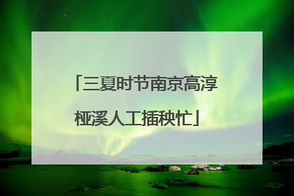 三夏时节南京高淳桠溪人工插秧忙