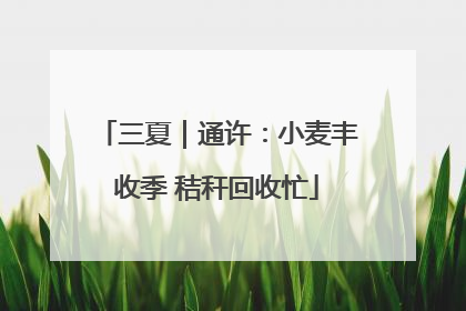 三夏｜通许：小麦丰收季 秸秆回收忙