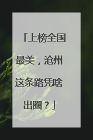 上榜全国最美，沧州这条路凭啥出圈？