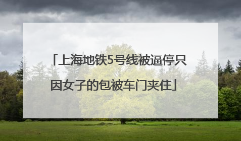 上海地铁5号线被逼停只因女子的包被车门夹住